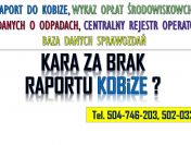 Kobize kara, kontrola? Tel. 502-032-782, Pomoc w raporcie do kobize